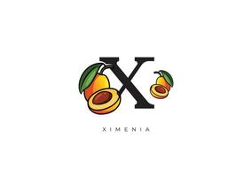 Gelb Orange Ximenia Obst Vektor, großartig Kombination von Ximenia Obst Symbol mit Brief x vektor