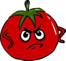 wütend Tomate Vektor illustartion auf Weiß Hintergrund