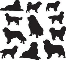 Silhouette solide Vektor Symbol einstellen von Hund, Rassen, Eckzahn, Hündchen, hetzen, Welpe, Köter, Haustier, Hündchen