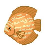 exotisk fisk ClipArt. enda klotter av under vattnet tropisk fauna isolerat på vit. färgad vektor illustration i tecknad serie stil.