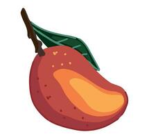 mango frukt ClipArt. färsk exotisk frukt klotter isolerat på vit. färgad vektor illustration i tecknad serie stil.