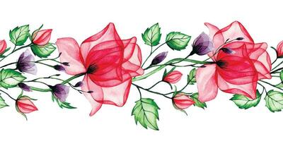 Aquarell nahtlos Grenze, Rahmen mit transparent Blumen. Rosa und lila Rose Blumen, Röntgen. vektor