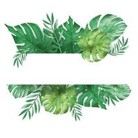 monstera lämna baner i vattenfärg vektor