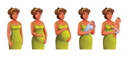 Schwangerschaft Stufen. Änderungen im weiblich Körper während Schwangerschaft. schwanger Frau und Neugeborene Baby. Vektor Illustration