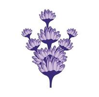 lavendel blomma design illustration vektor