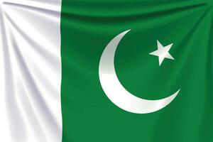 tillbaka flagga pakistan vektor