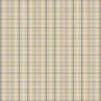 Tartan-Plaidmuster mit Textur und Retro-Farbe. vektor