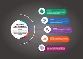 professionelle schritte infografik illustration vektor