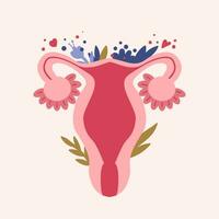 weiblich reproduktiv System. Frauen Gesundheit. intim Hygiene. Vektor Illustration