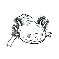 Salamander Axolotl Vektor Hand Zeichnung Illustration im schwarz Farbe isoliert auf Weiß Hintergrund. skizzieren Linie Kunst. zum Design, Buch, Netz ,