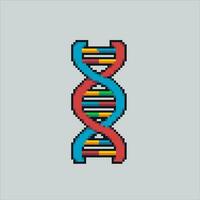 Pixel Kunst Illustration DNA. pixelig DNA. DNA Mensch gen medizinisch Gesundheit pixelig zum das Pixel Kunst Spiel und Symbol zum Webseite und Video Spiel. alt Schule retro. vektor