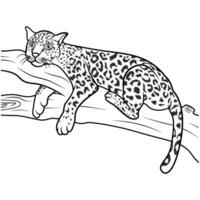 leopard liggande på en träd gren linje konst vektor