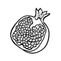 granatäpple. de skära del. vektor illustration i klotter stil