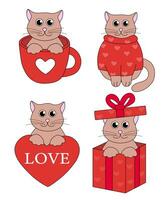 einstellen von Karikatur Valentinstag Tag Katze Figuren. süß Kätzchen im Tasse und im Geschenk Kasten, Pullover, auf Herz mit Liebe. Vektor eben Illustration.