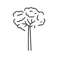 Brasilien Nuss Baum Linie Symbol Vektor Illustration