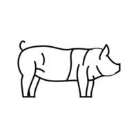 Hampshire Schwein Rasse Linie Symbol Vektor Illustration