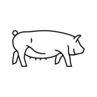 Yorkshire Schwein Rasse Linie Symbol Vektor Illustration