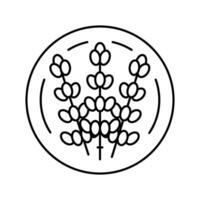 Lavendel kosmetisch Pflanze Linie Symbol Vektor Illustration