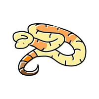 Boa Constrictor Tier Schlange Farbe Symbol Vektor Illustration