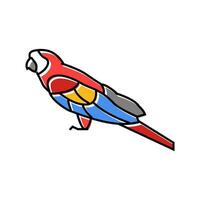 scharlakansrött ara Sammanträde papegoja fågel Färg ikon vektor illustration