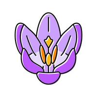Krokus Blume Frühling Farbe Symbol Vektor Illustration