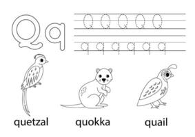 Spur Großbuchstaben und Kleinbuchstaben Brief q. Tier Alphabet zum Kinder. vektor