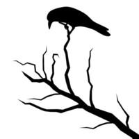 Vektor Silhouette von ein Krähe thront auf ein trocken Baum Ast. Element zum Halloween, Mauer Dekoration, Mauer Aufkleber, isoliert auf Weiß Hintergrund.