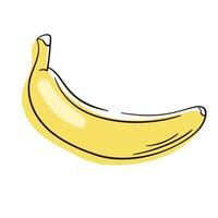 Banane Symbol isoliert auf Weiß Hintergrund. Linie, Kontur, Umriss. Vektor Hand gezeichnet eben Illustration.