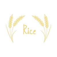 Reis-Symbol. Weizensymbolvektor. Hintergrund. Logo Design. vektor