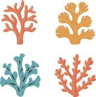 fyra koraller i annorlunda färger på en vit bakgrund vektor