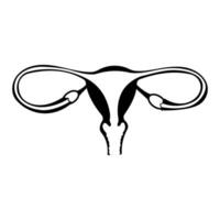 Gebärmutter Organ Frau reproduktiv Zyklus Symbol Element vektor