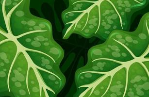 gröna tropiska blad bakgrund vektor