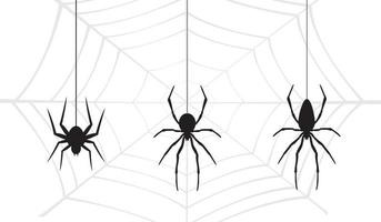 Webvektor der Halloween-Spinnen. schwarze Spinne auf weißem Hintergrund. Gefahr Insekt. Horrorbanner, gruseliges Poster. Spinnennetz lokalisierte Dekorationsvorratillustration. oktober urlaub flyer mockup mock-up vektor