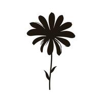 daisy blomma svart silhuett vektor fri