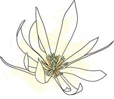 abstrakt Linie von Champaka Blume sind Blühen mit Farbe bespritzt Hintergrund. vektor
