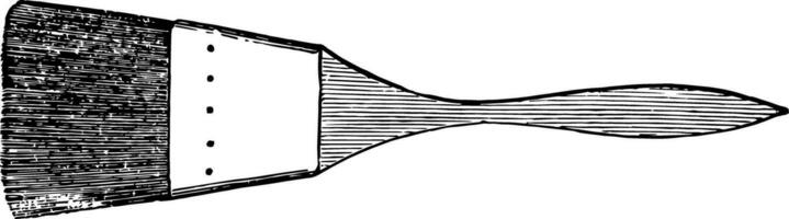 Fantail Über Körner Bürste Jahrgang Illustration. vektor