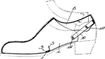 klänning sko är ett Artikel av Skodon utvecklats årgång gravyr. vektor
