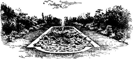 Rasen Teich von Wassersport, Zier , Jahrgang Gravur. vektor