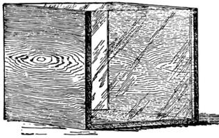 permanent akvarium, årgång illustration. vektor