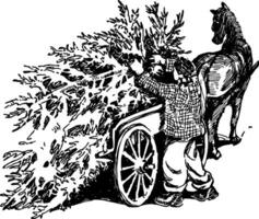 Mann mit Kiefer Baum auf Wagen Jahrgang Illustration. vektor