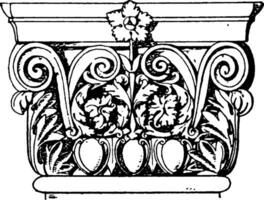 römisch-korinthisch Pilaster Hauptstadt, korinthisch, Jahrgang Gravur. vektor
