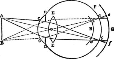 bildning av cirklar av diffusion, årgång illustration. vektor