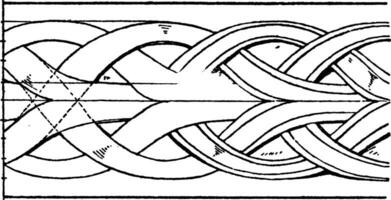 mittelalterlich Anreicherung Torus Formen, Band, Jahrgang Gravur. vektor