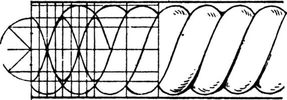 verdrehte Seil Korn Formen, Materialien, Jahrgang Gravur. vektor