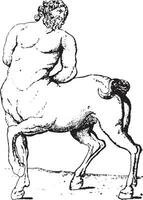 centaur, årgång gravyr. vektor