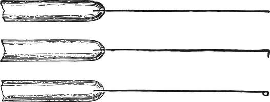 platina ympning nålar monterad i glas stavar, årgång gravyr. vektor