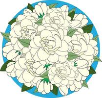 Illustration von Weiß Jasmin Blume mit Blätter auf Blau Kreis Hintergrund. vektor