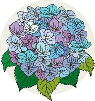 Illustration Strauß von das Hortensie Blume mit Blätter auf Sahne Farbe Kreis Hintergrund. vektor