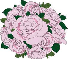 Illustration Strauß von Rosa Rose Blume mit Blätter. vektor