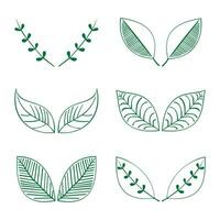 tropisch organisch Blätter im Gekritzel Stil dünn Linie Symbol einstellen Sammlung. vektor